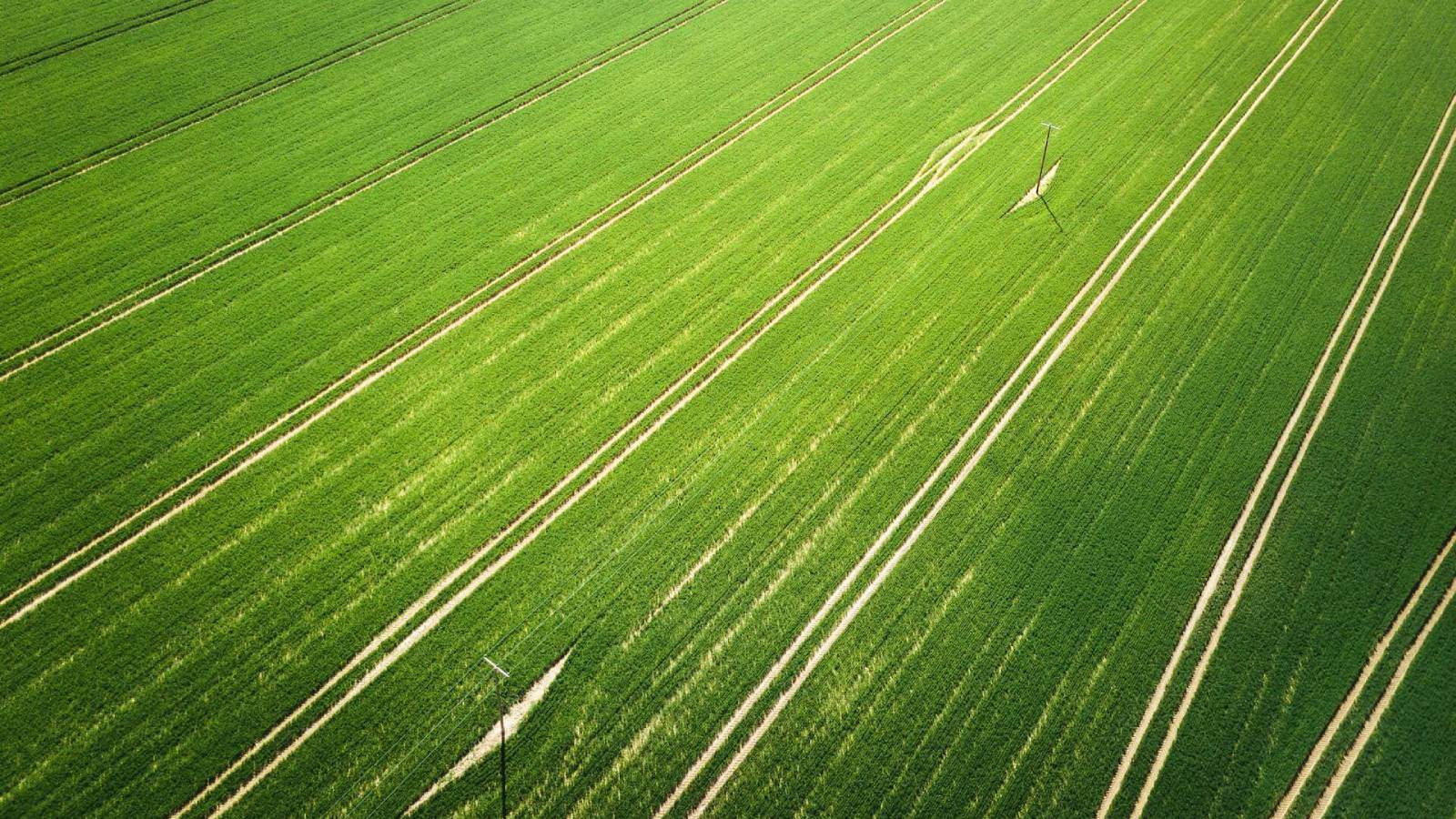 Working Lands & Conservation